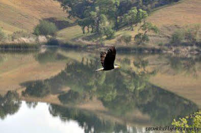 Alisal Guest Ranch & Resort Solvang Εξωτερικό φωτογραφία